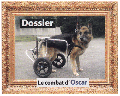 clic sur l'image pour lire l'article sur Oscar