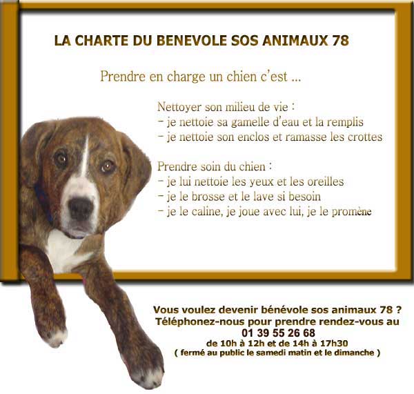 La charte du bénévole sos animaux 78